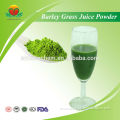Most Popular Barley Grass Juice Powder
